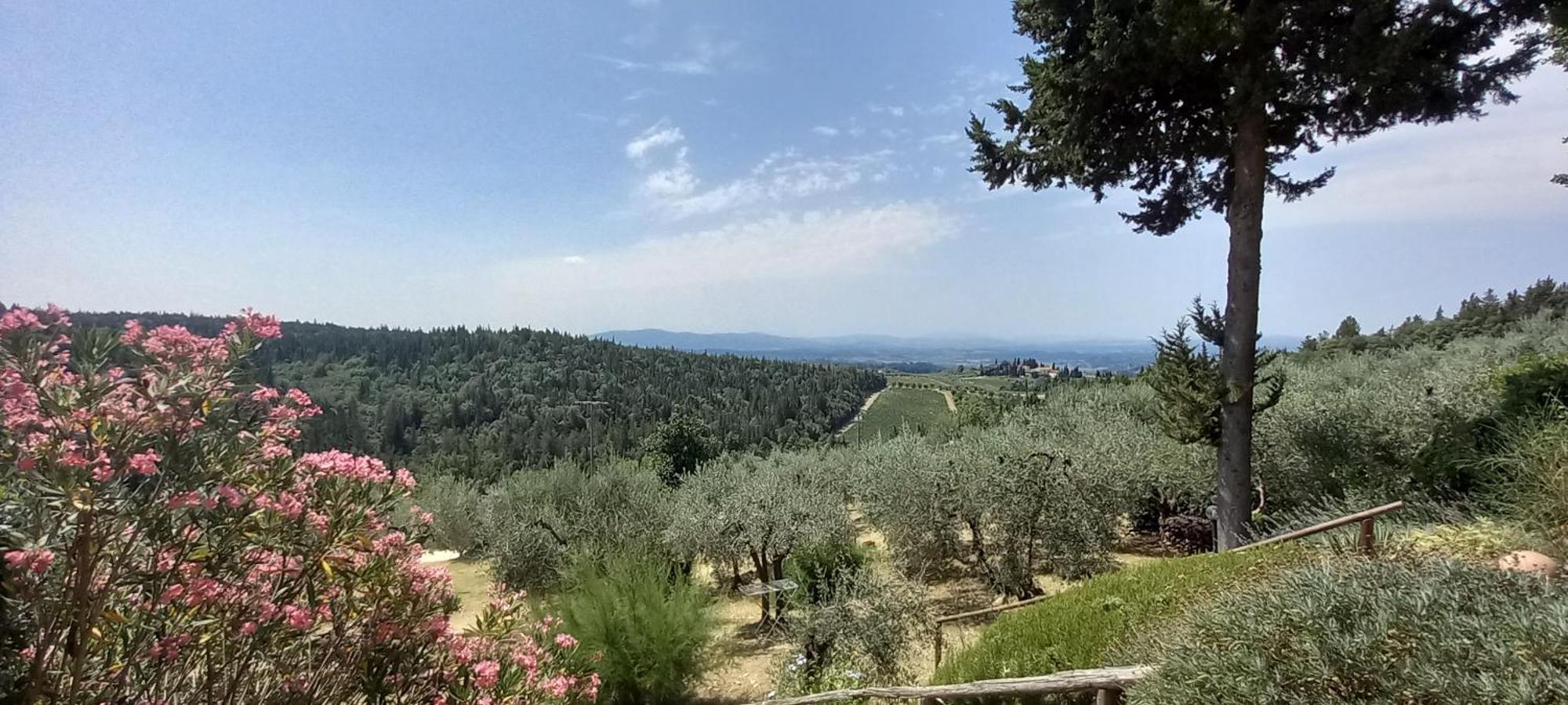 Borgo Nel Chianti Istrice Con Piscina Tennis E Wifi Castellina in Chianti Ngoại thất bức ảnh