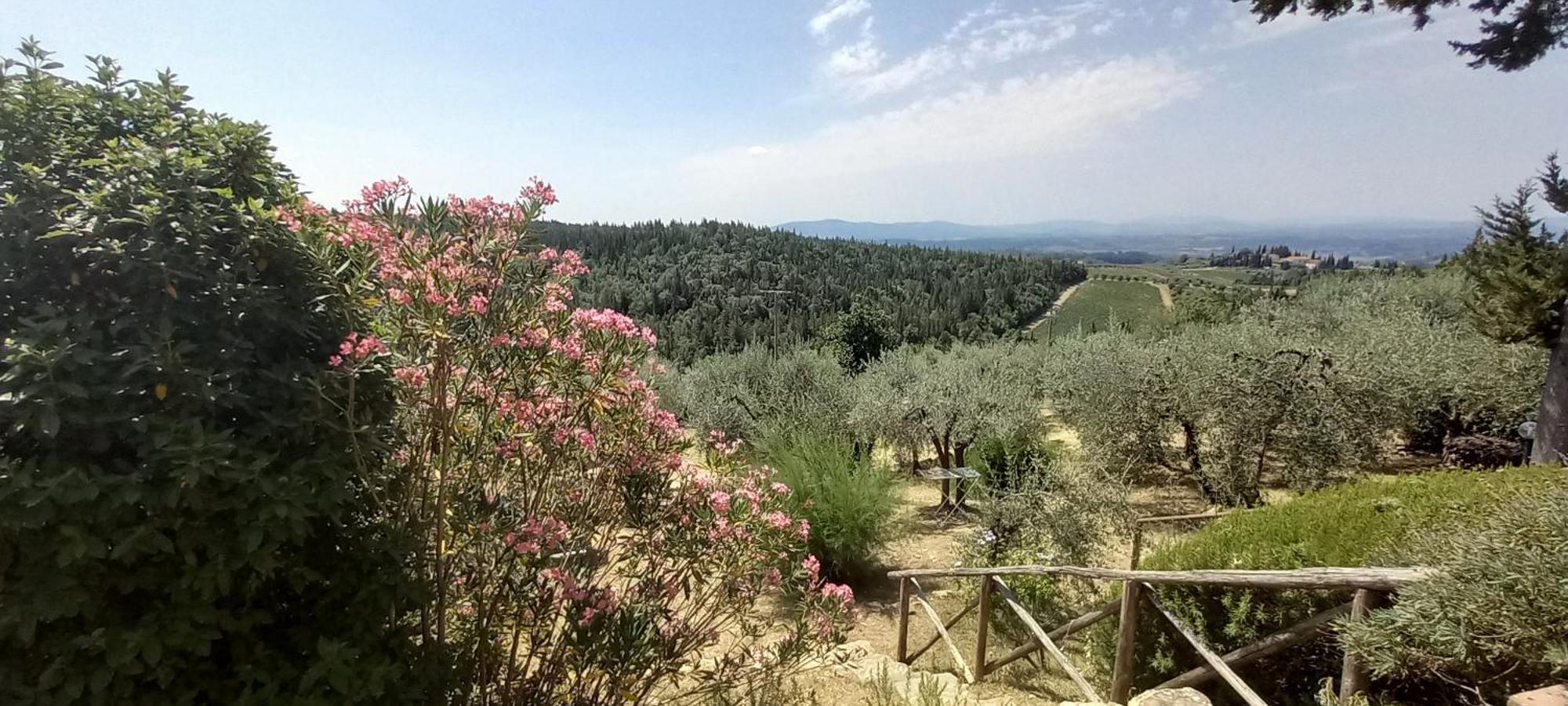 Borgo Nel Chianti Istrice Con Piscina Tennis E Wifi Castellina in Chianti Ngoại thất bức ảnh